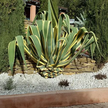 La Maison Du Castellet
