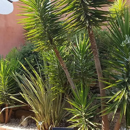 Bed & Breakfast La Maison Du Castellet Le Castellet (Var)