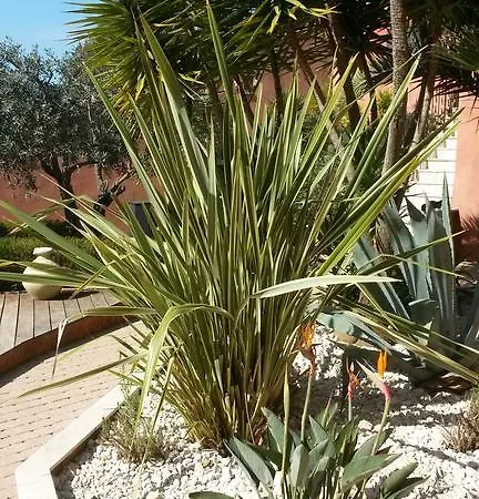 La Maison Du Castellet * Le Castellet (Var)