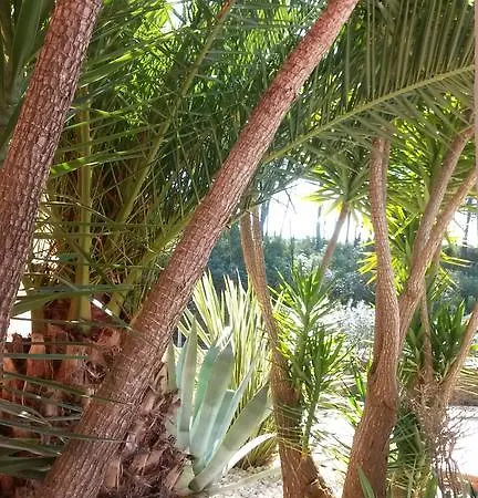 La Maison Du Castellet Bed & Breakfast Le Castellet (Var)